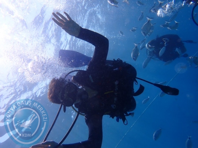 22-23 Ağustos BODRUM