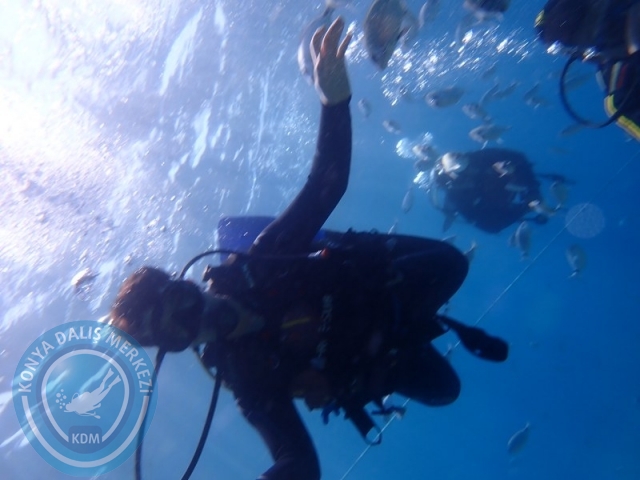 22-23 Ağustos BODRUM