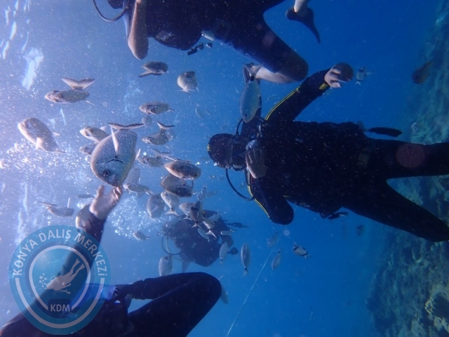 22-23 Ağustos BODRUM
