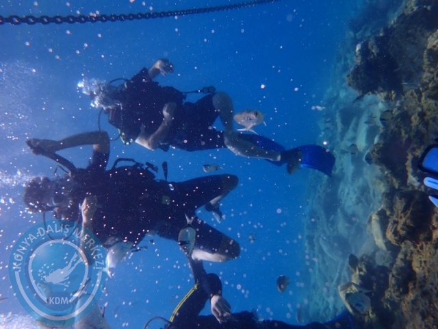 22-23 Ağustos BODRUM