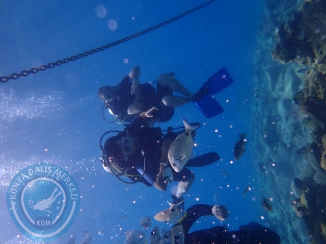 22-23 Ağustos BODRUM