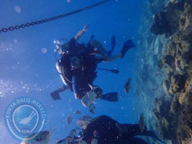 22-23 Ağustos BODRUM