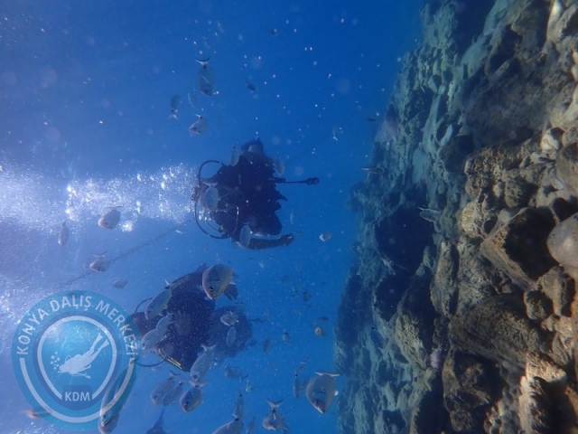 22-23 Ağustos BODRUM