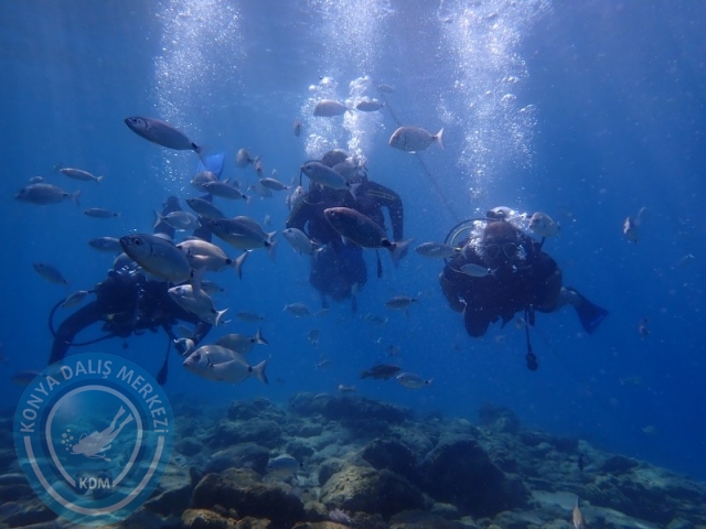 22-23 Ağustos BODRUM