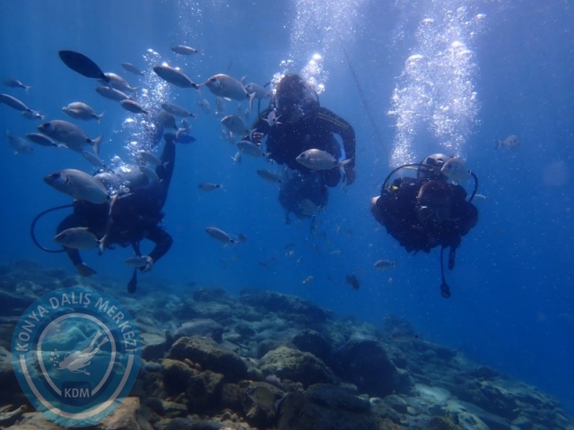 22-23 Ağustos BODRUM