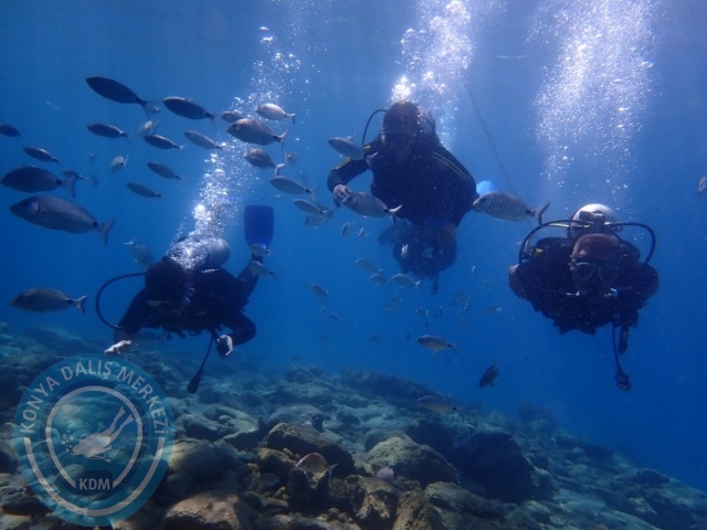22-23 Ağustos BODRUM