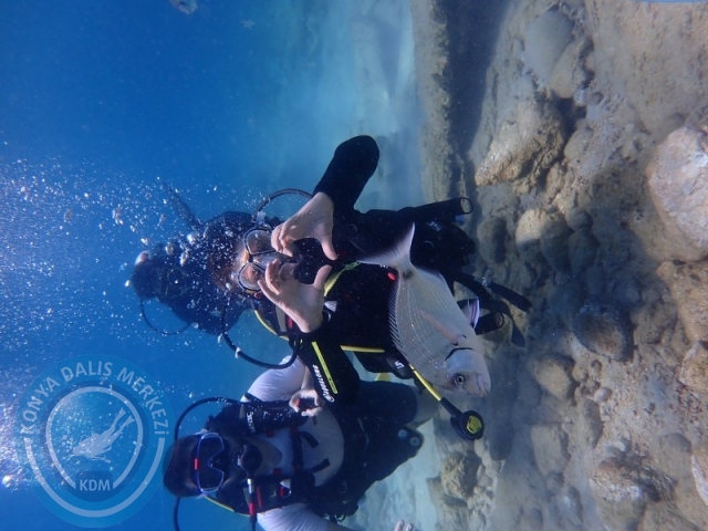22-23 Ağustos BODRUM