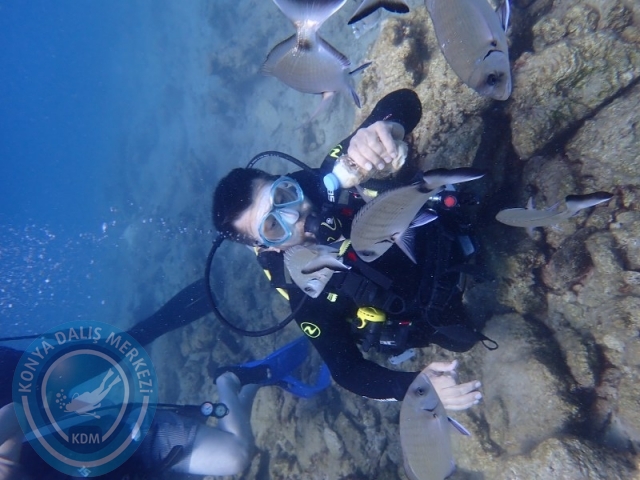 22-23 Ağustos BODRUM