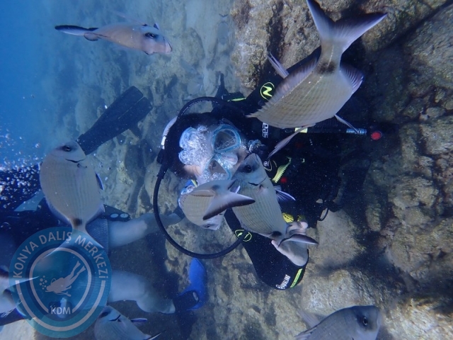 22-23 Ağustos BODRUM