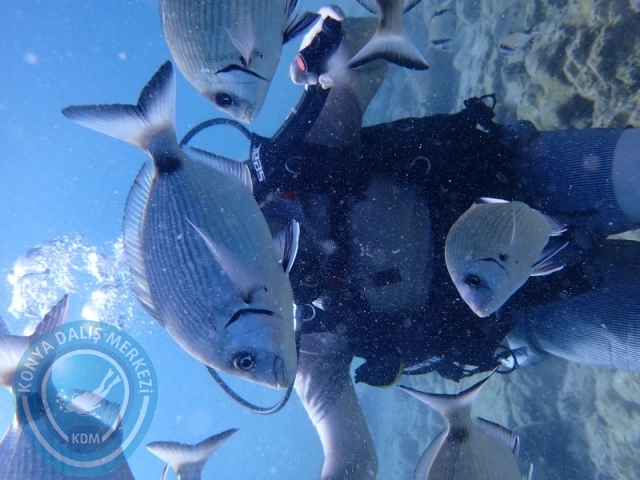 22-23 Ağustos BODRUM