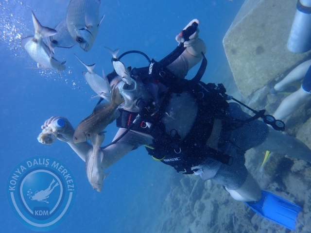 22-23 Ağustos BODRUM