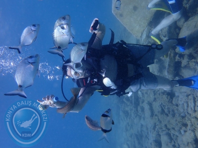22-23 Ağustos BODRUM