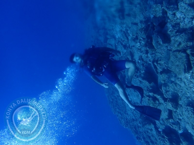 22-23 Ağustos BODRUM
