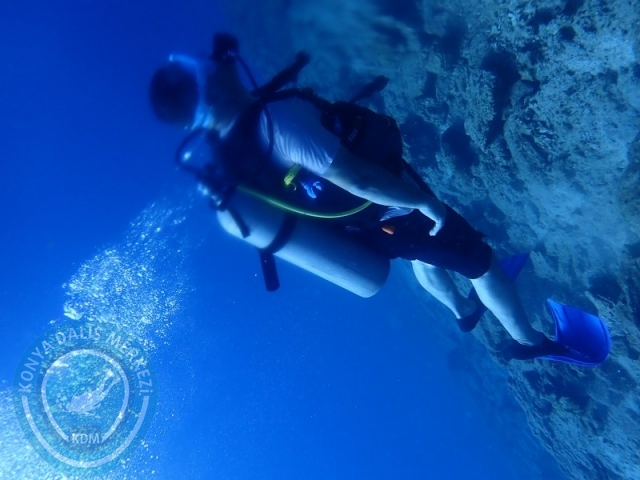 22-23 Ağustos BODRUM
