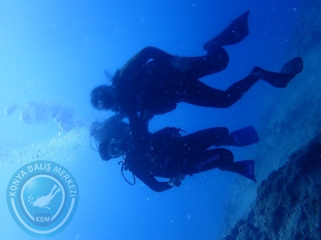 22-23 Ağustos BODRUM