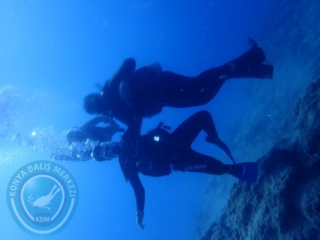 22-23 Ağustos BODRUM