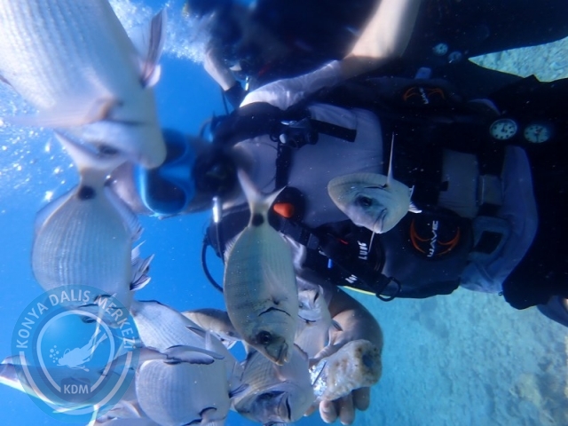 22-23 Ağustos BODRUM