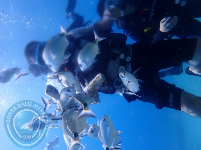 22-23 Ağustos BODRUM