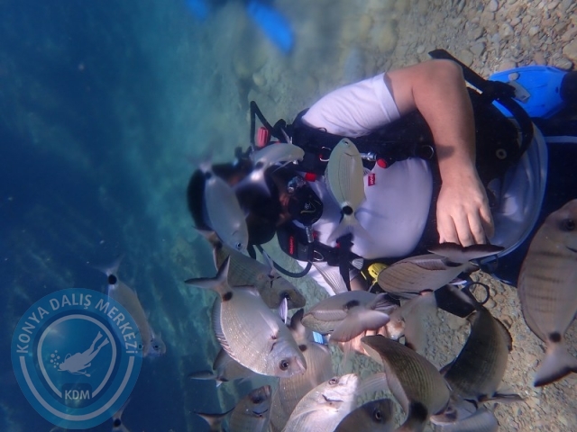 22-23 Ağustos BODRUM