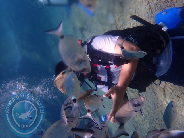 22-23 Ağustos BODRUM