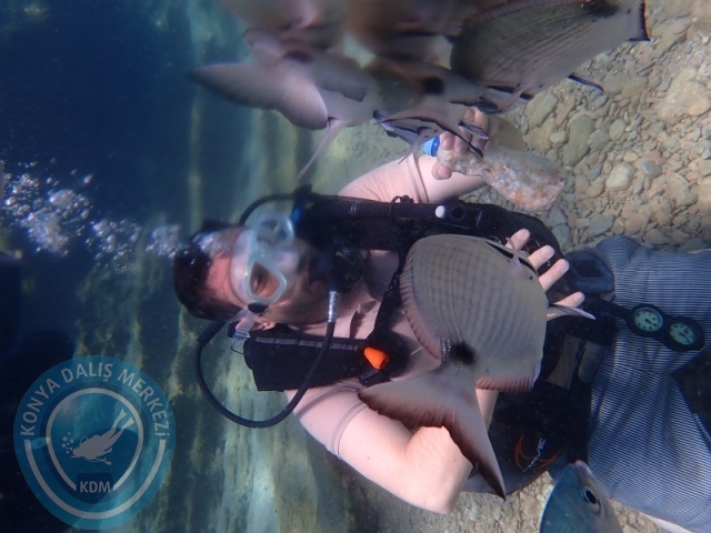 22-23 Ağustos BODRUM