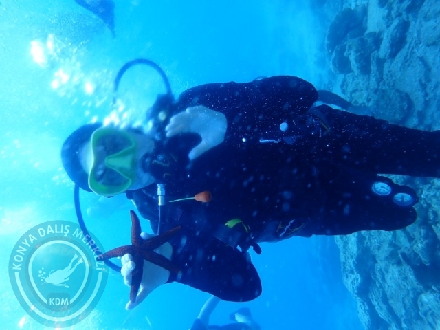 22-23 Ağustos BODRUM