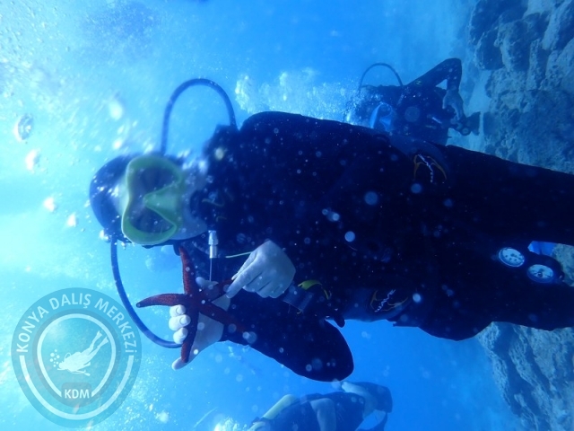 22-23 Ağustos BODRUM