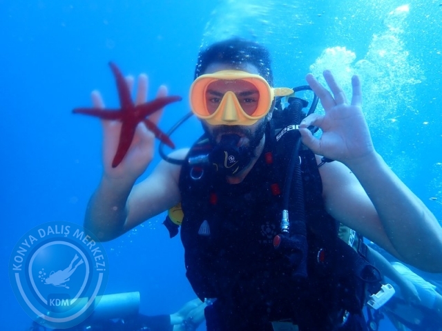 22-23 Ağustos BODRUM