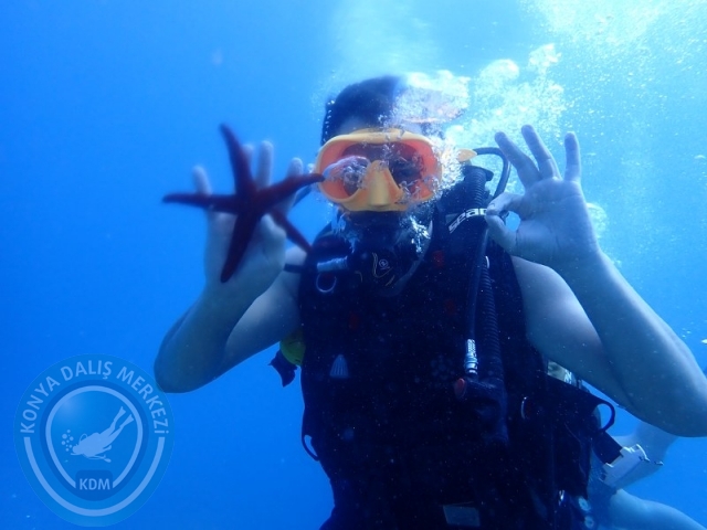 22-23 Ağustos BODRUM