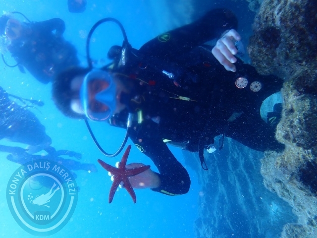 22-23 Ağustos BODRUM