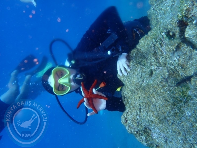 22-23 Ağustos BODRUM