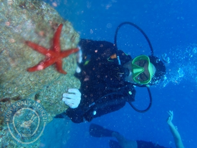 22-23 Ağustos BODRUM