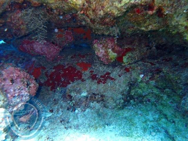 22-23 Ekim Kaş