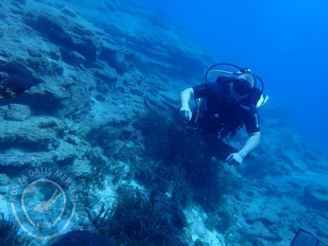 22-23 Haziran Bodrum