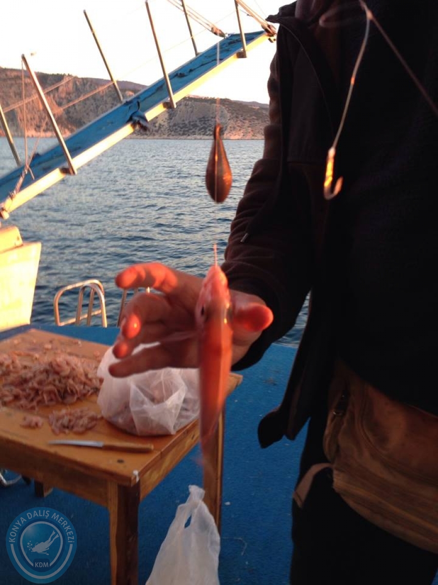 22-23 Mart Boğsak balık avı