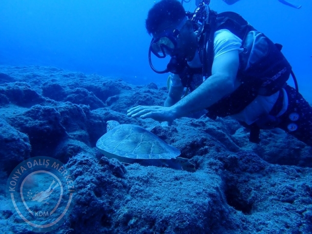 23-24 Ağustos KEMER