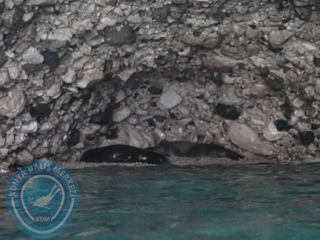 23-24 Ağustos KEMER
