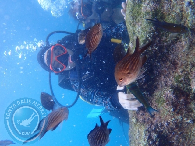 23-24 Ağustos KEMER