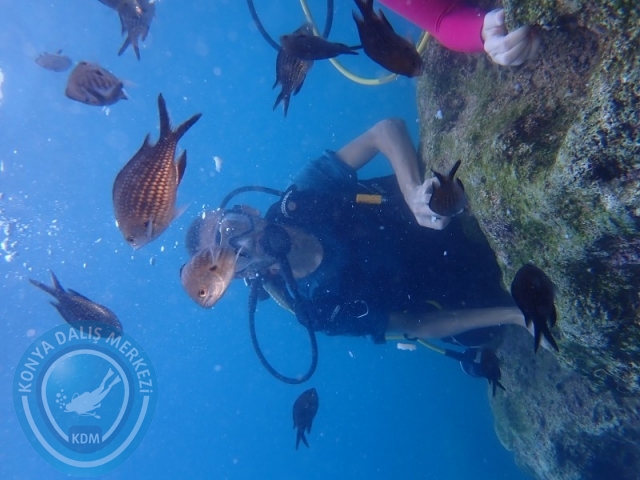 23-24 Ağustos KEMER