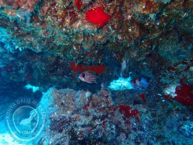 23-24 Ağustos KEMER