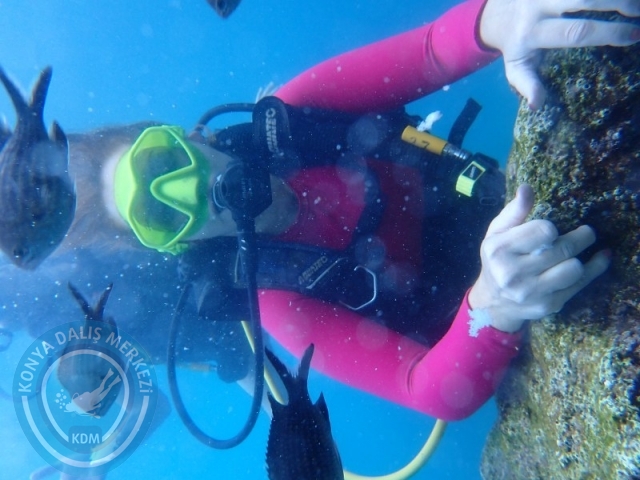 23-24 Ağustos KEMER