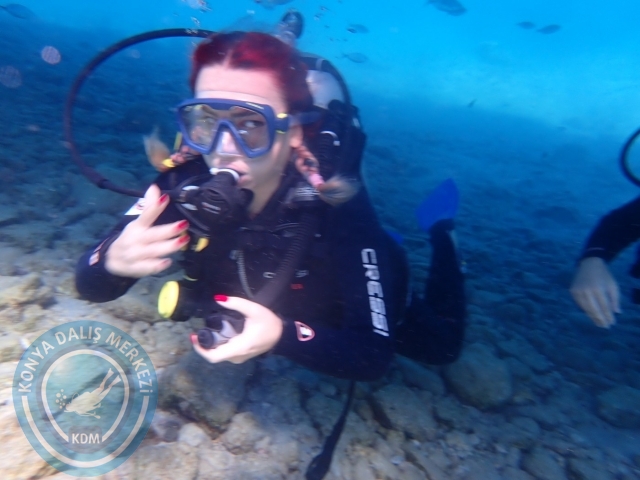 24-25 Eylül Bodrum