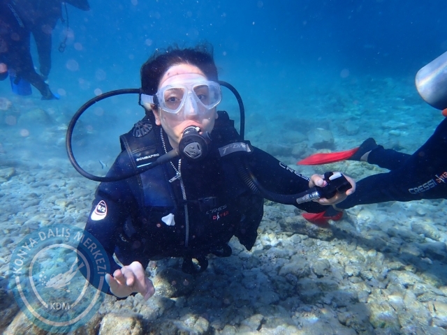 24-25 Eylül Bodrum