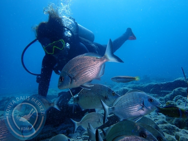24-25 Eylül Bodrum