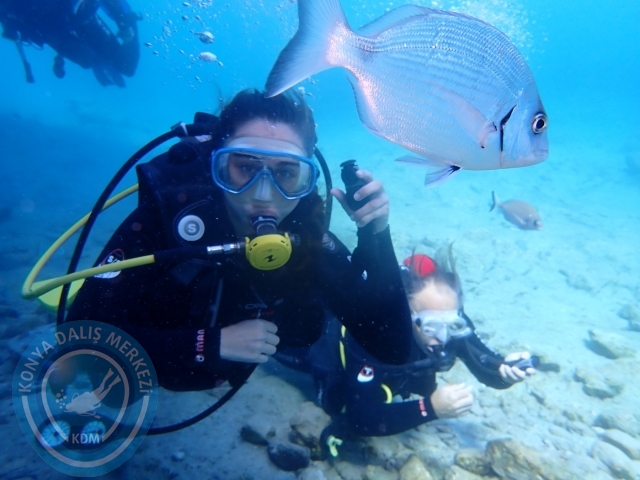 24-25 Eylül Bodrum