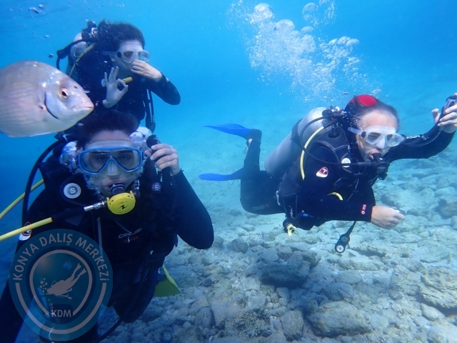24-25 Eylül Bodrum