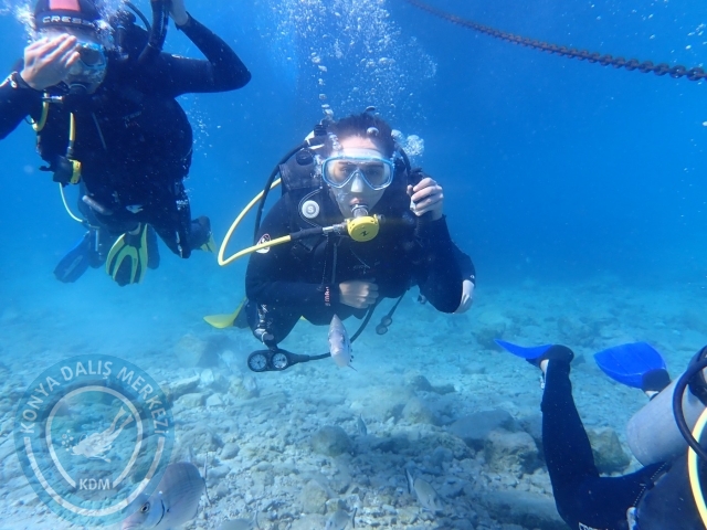 24-25 Eylül Bodrum