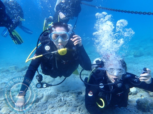 24-25 Eylül Bodrum