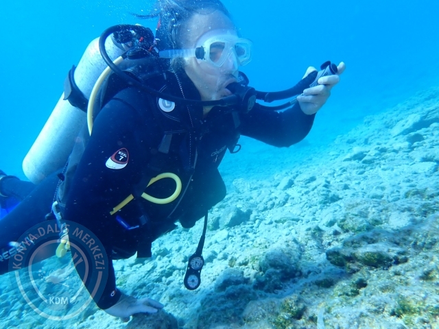 24-25 Eylül Bodrum