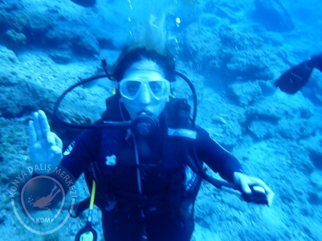 24-25 Eylül Bodrum